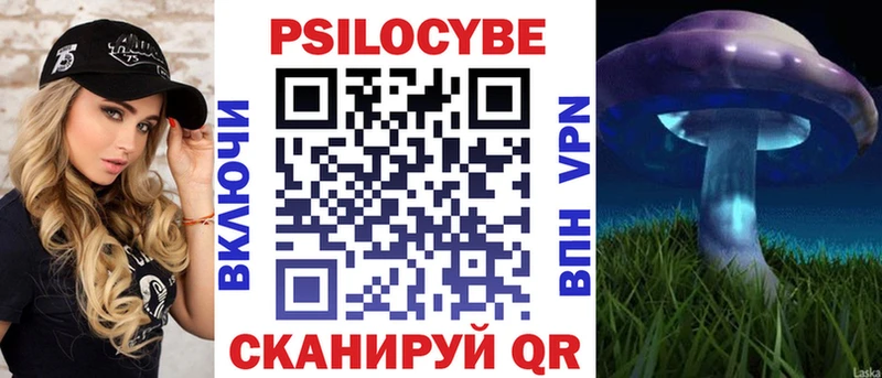 где купить наркоту  Никольск  Псилоцибиновые грибы мухоморы 